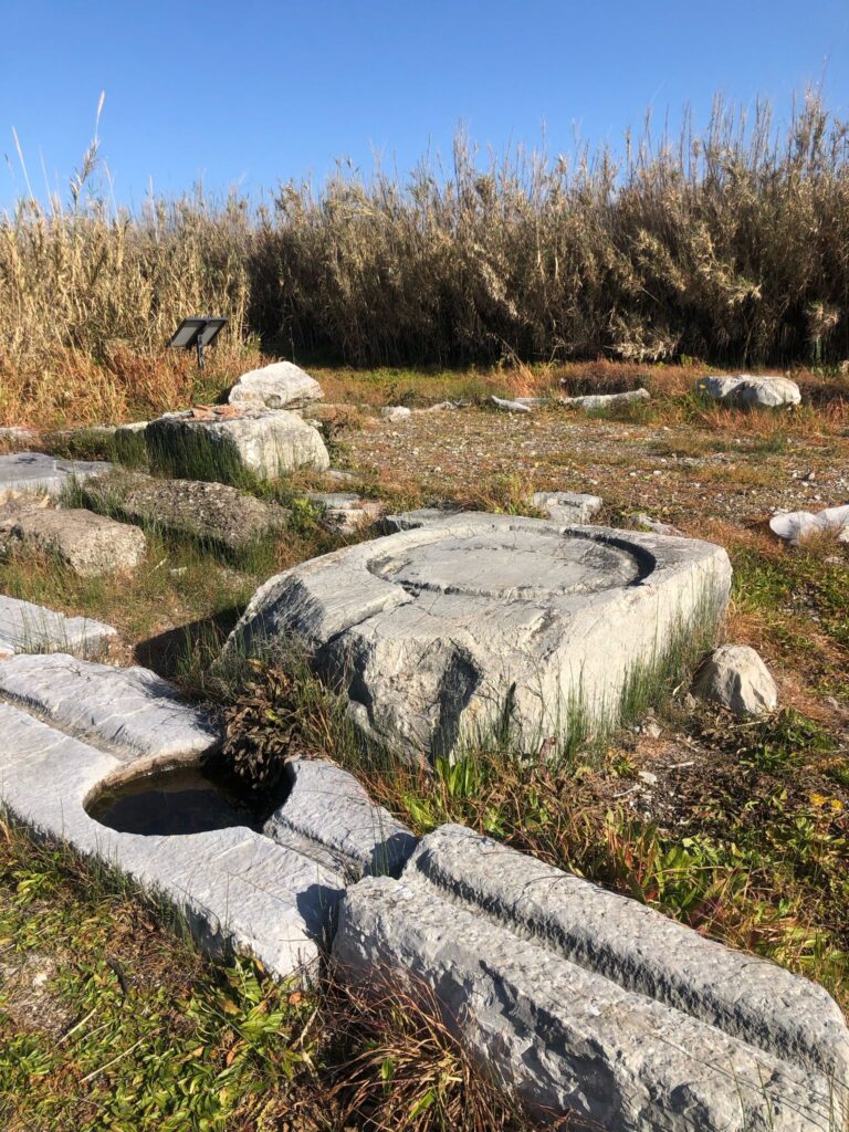 Wine factory palaia wine press