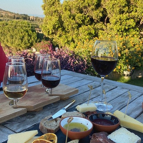 Wine tasting Knidos vineyard